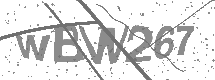 visual captcha