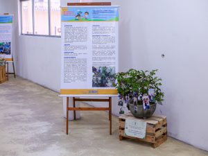 Ciranda da Educação Infantil valoriza práticas pedagógicas das creches do Recife